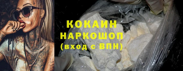 соль ск Алексин