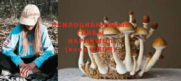 соль ск Алексин